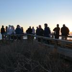 Cambria_2015_0183 (November 07, 2015)